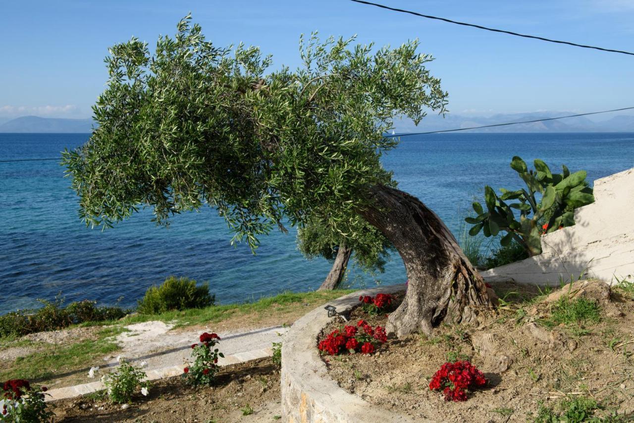 Villa Alexandra Mpoukaris Bagian luar foto